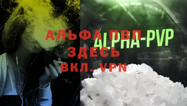 гашик Алексин