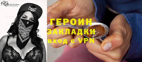 гашик Алексин