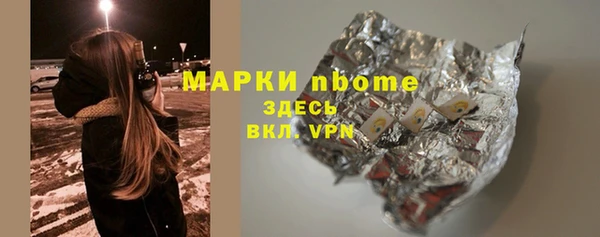 гашик Алексин