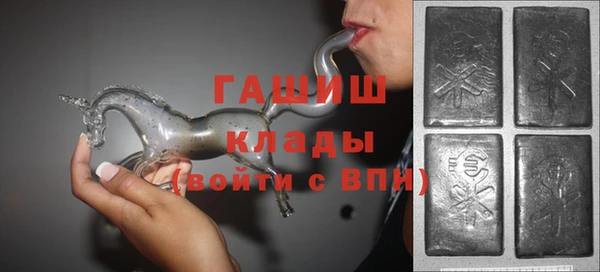 гашик Алексин