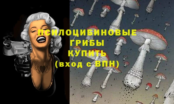 гашик Алексин