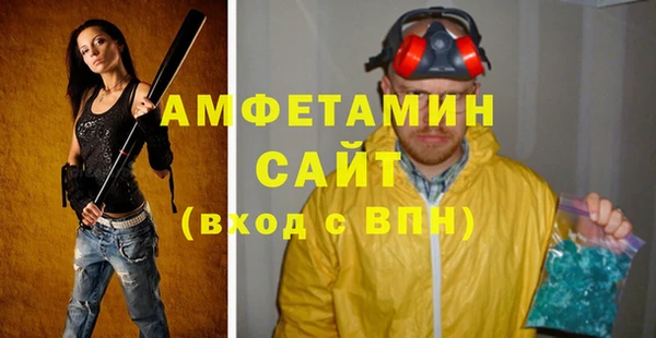 гашик Алексин