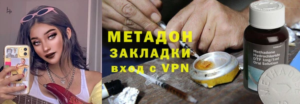 гашик Алексин