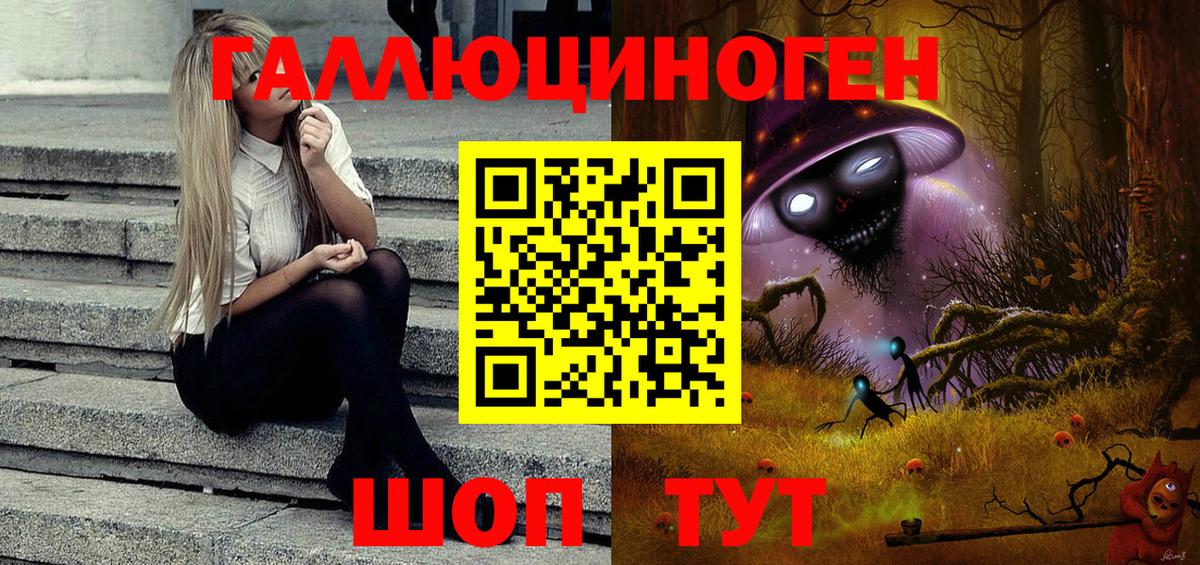 Галлюциногенные грибы Psilocybe Котельники