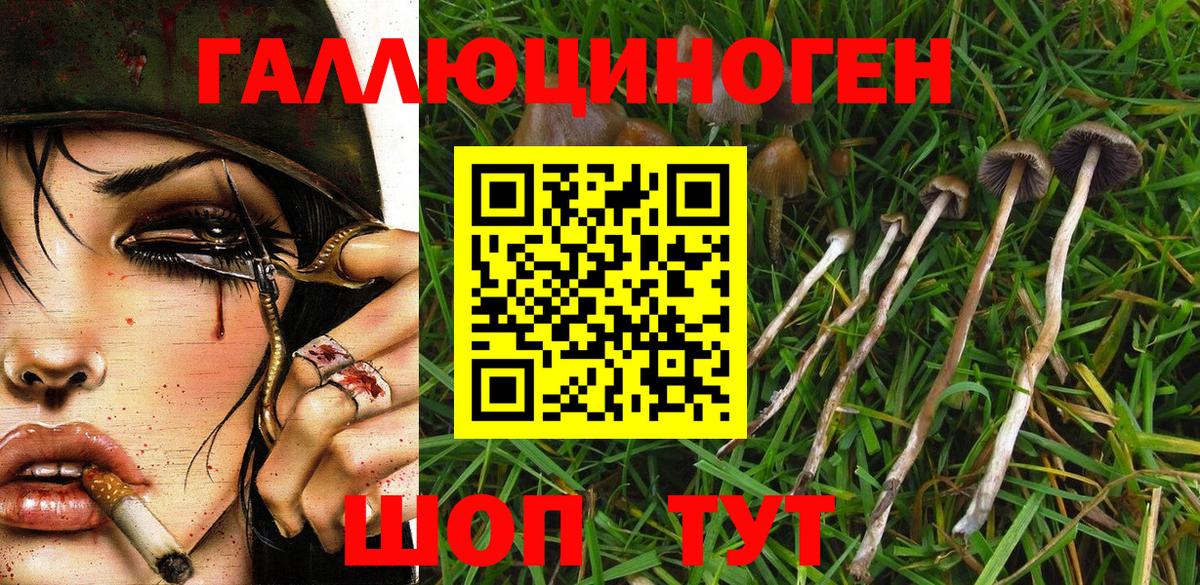 Галлюциногенные грибы GOLDEN TEACHER  Вход с VPN  Псилоцибиновые грибы ЛСД  Котельники 